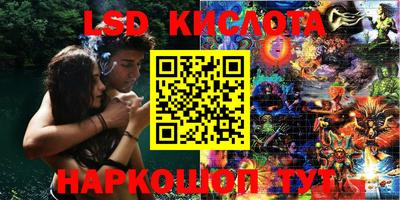 тгк Гусев